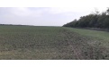 Готовим поля под последующий урожай - Глифор, Глифор Форте - Image preview 5