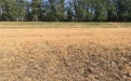 Готовим поля под последующий урожай - Глифор, Глифор Форте - Image preview 6