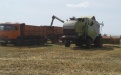 Тамбовская область – один из лидеров по производству зерна в ЦФО - Image preview 3