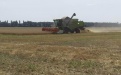Тамбовская область – один из лидеров по производству зерна в ЦФО - Image preview 4