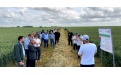 Защита посевов озимой пшеницы в Республике Калмыкия  - Image preview 1