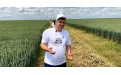 Защита посевов озимой пшеницы в Республике Калмыкия  - Image preview 2