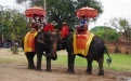 Африканские слоны - Image preview 4