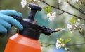 Применение пестицидов в Японии - Image preview 1