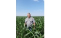  Цицерон на защите кукурузы - Image preview 9