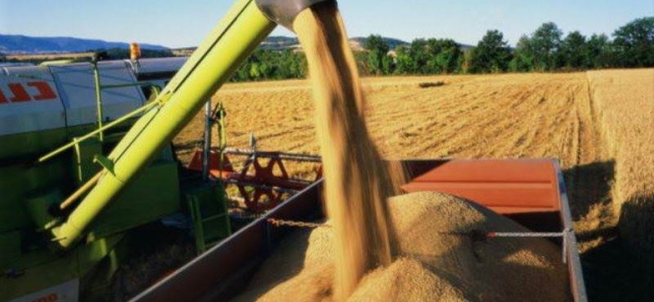 В Тамбовской области собран первый миллион тонн зерна - ООО ТД Кирово-Чепецкая Химическая Компания