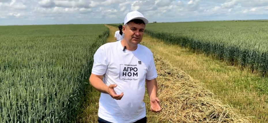 Защита посевов озимой пшеницы в Республике Калмыкия  - ООО ТД Кирово-Чепецкая Химическая Компания