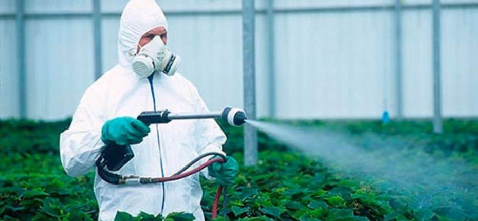 Для защиты урожая ученые создали генномодифицированных насекомых - ООО ТД Кирово-Чепецкая Химическая Компания