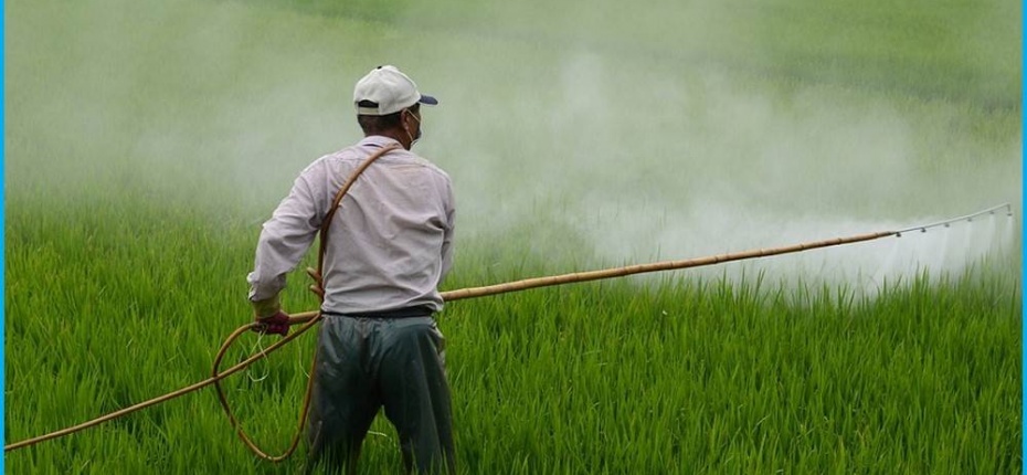 Европа призналась необходимость справедливо оценивать использование пестицидов - ООО ТД Кирово-Чепецкая Химическая Компания