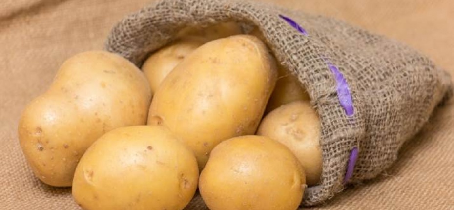 Аграрии создадут новые сорта картофеля - ООО ТД Кирово-Чепецкая Химическая Компания