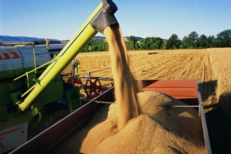 В Тамбовской области собран первый миллион тонн зерна
