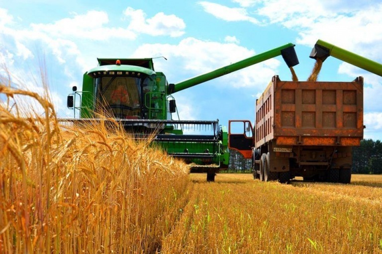 Аграрии Омской области собрали 3 млн. тонн зерна