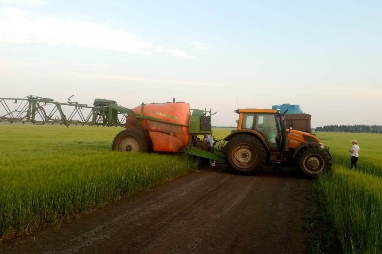 В Тамбовской области испытывают биопрепараты для сельского хозяйства. 