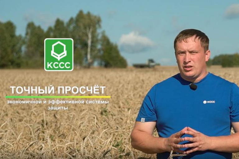 Особенности системы защиты яровой пшеницы в Новосибирской области препаратами Кирово-Чепецкой Химической Компании