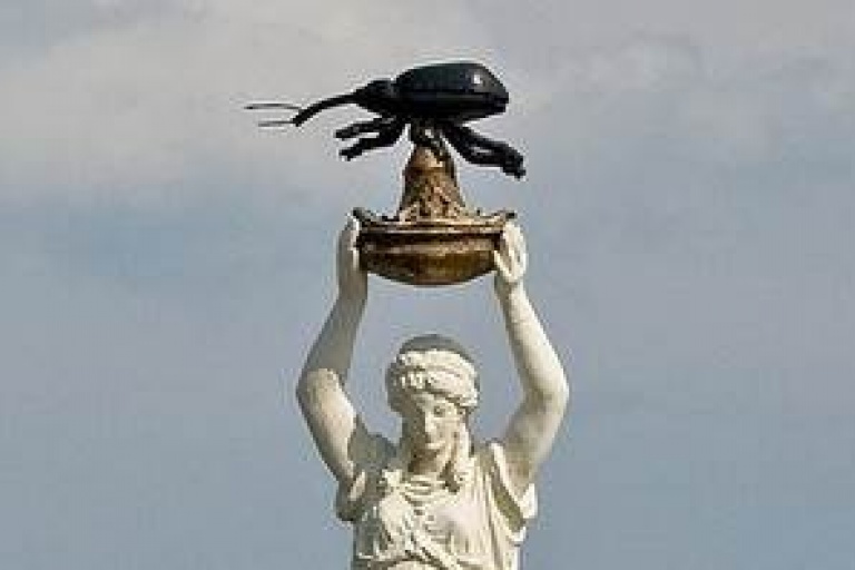 Памятник насекомому