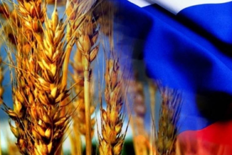 РФ снижает экспорт зерна – Минсельхоз