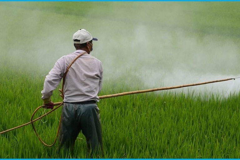 Европа призналась необходимость справедливо оценивать использование пестицидов