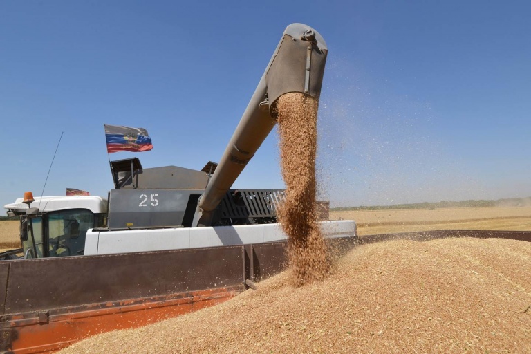 Снижение экспорта пшеницы из РФ 