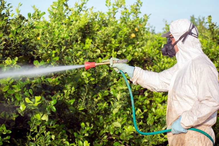 В России усилят государственный контроль за безопасным обращением с пестицидами и агрохимикатами