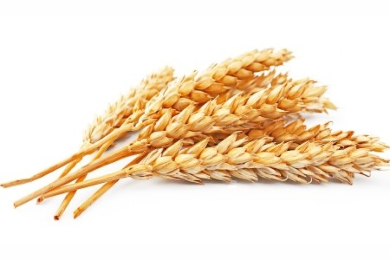 Программа защиты зерновых